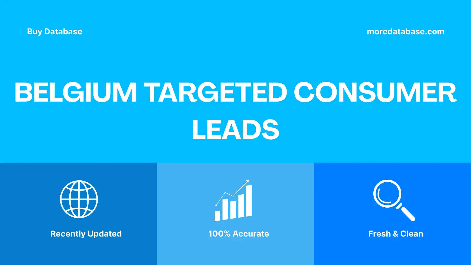 Belgium Targeted Consumer Leads